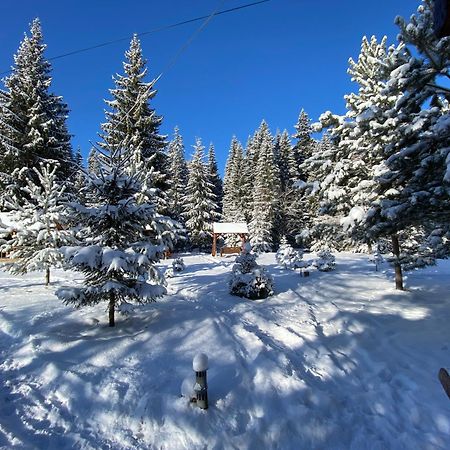 Вілла Урочище Луг Ворохта Екстер'єр фото